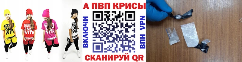 A PVP СК  Вологда 