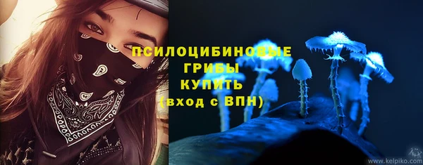прущая мука Бородино