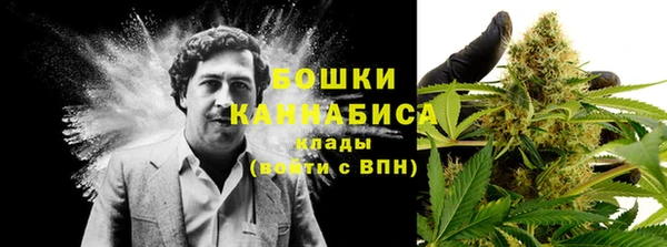 прущая мука Бородино
