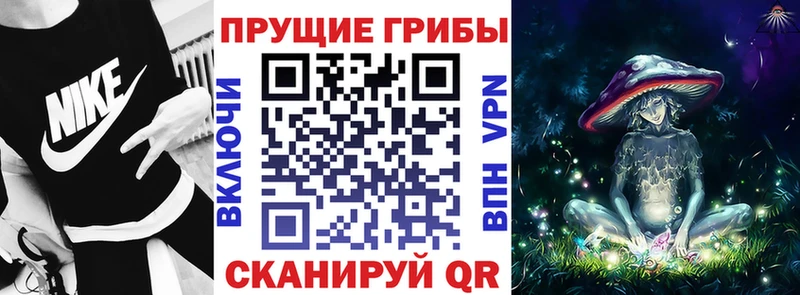 гидра ONION Вологда Псилоцибиновые грибы ЛСД