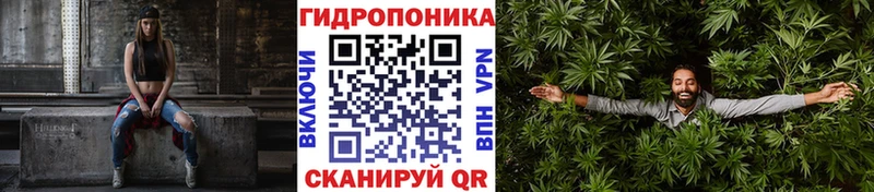 Бошки марихуана MAZAR Вологда